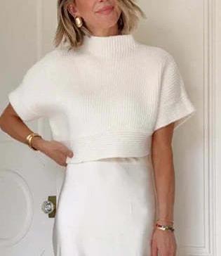 Facerya Knitted Top & Silk Skirt